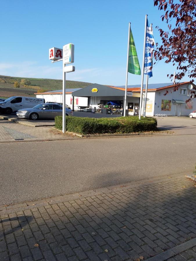 Ferienwohnung Toska Pfaffenweiler Екстериор снимка